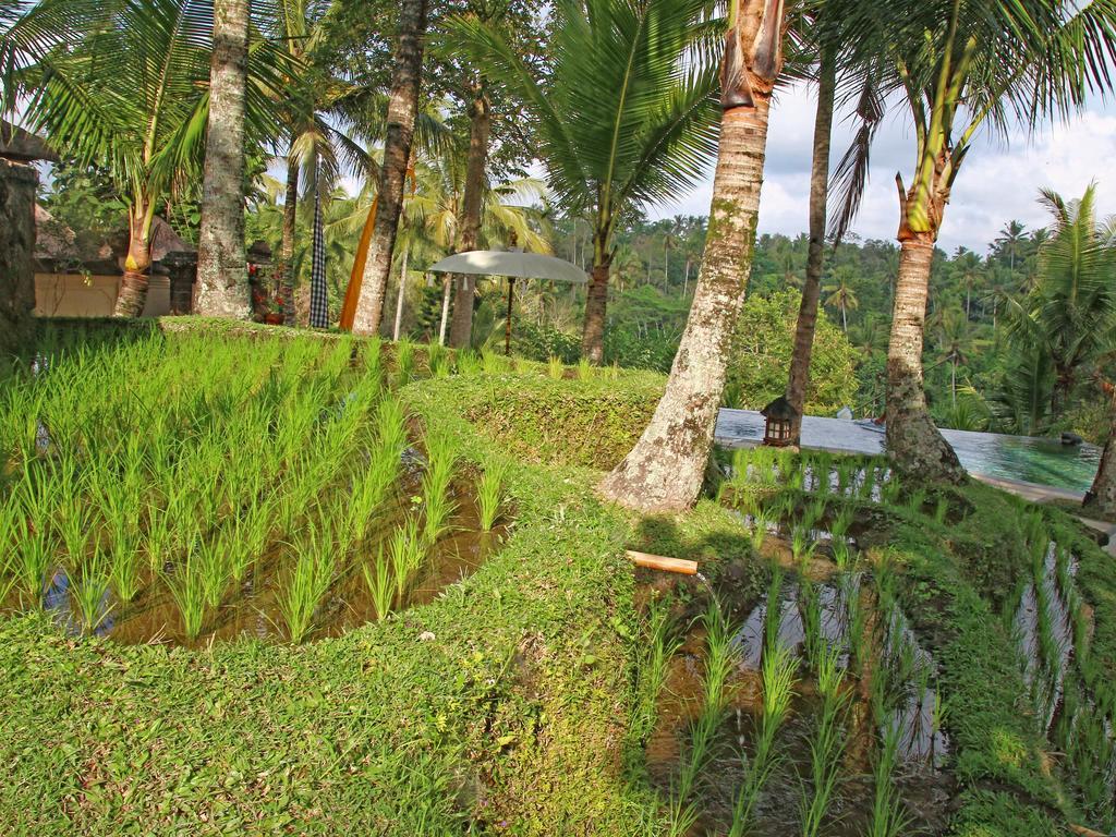 Toya Retreat Villa Тегаллаланг Экстерьер фото